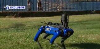 Робопес-полицейский выполнил несколько важных миссий в Нью-Йорке Робопес-полицейский выполнил несколько важных миссий в Нью-Йорке