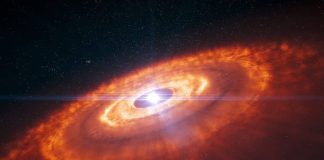 Обнаружен самый большой протопланетный диск, известный на сегодняшний день | New-Science.ru Обнаружен самый большой протопланетный диск, известный на сегодняшний день | New-Science.ru