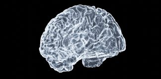 Магнитные поля и наночастицы: новый метод воздействия на мозг | New-Science.ru Магнитные поля и наночастицы: новый метод воздействия на мозг | New-Science.ru