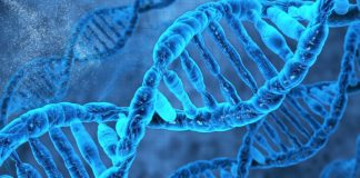 Впервые технология на основе ДНК предлагает как хранение данных, так и вычислительные функции | New-Science.ru Впервые технология на основе ДНК предлагает как хранение данных, так и вычислительные функции | New-Science.ru