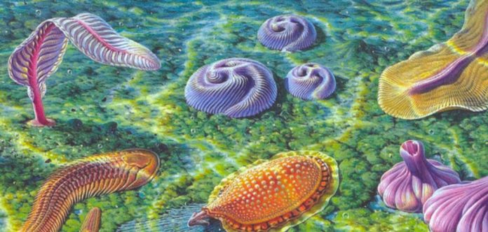 Сложные формы жизни могли появиться на Земле на 1,5 миллиарда лет раньше | New-Science.ru