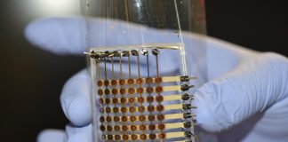 Гибкий OLED-дисплей, полностью напечатанный на 3D-принтере | New-Science.ru Гибкий OLED-дисплей, полностью напечатанный на 3D-принтере | New-Science.ru