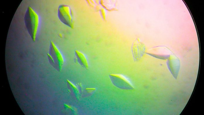 Открытие белка для восстановления ДНК, который может привести к созданию вакцины против рака | New-Science.ru