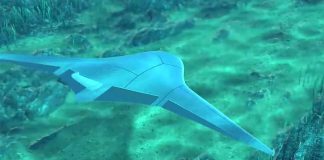 Программа Manta Ray: беспилотные подводные аппараты, вдохновленные скатом манта | New-Science.ru Программа Manta Ray: беспилотные подводные аппараты, вдохновленные скатом манта | New-Science.ru