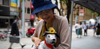 В Японии набирают популярность вечеринки для роботов-собак В Японии набирают популярность вечеринки для роботов-собак