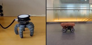 Ученые создали новый вид биогибридного робота — управляемого грибами | New-Science.ru Ученые создали новый вид биогибридного робота — управляемого грибами | New-Science.ru