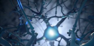 Neuralink: первые чипы скоро будут имплантированы людям | New-Science.ru Neuralink: первые чипы скоро будут имплантированы людям | New-Science.ru