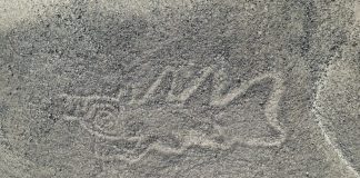 Благодаря ИИ среди 300 линий Наска обнаружены силуэты «инопланетян» | New-Science.ru Благодаря ИИ среди 300 линий Наска обнаружены силуэты «инопланетян» | New-Science.ru