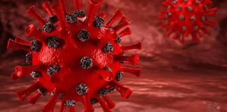 COVID-19 может вызвать длительное повреждение мозга и когнитивных функций, говорится в исследовании | New-Science.ru COVID-19 может вызвать длительное повреждение мозга и когнитивных функций, говорится в исследовании | New-Science.ru