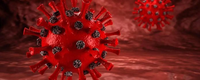 COVID-19 может вызвать длительное повреждение мозга и когнитивных функций, говорится в исследовании | New-Science.ru