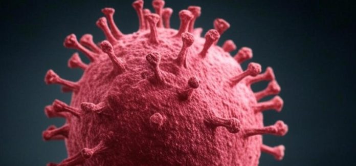 Птичий грипп мутирует быстрее, чем ожидалось: эксперты бьют тревогу после первого случая смерти в США | New-Science.ru