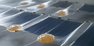 Растягивающиеся органические солнечные элементы могут стать источником энергии для носимых технологий будущего | New-Science.ru Растягивающиеся органические солнечные элементы могут стать источником энергии для носимых технологий будущего | New-Science.ru