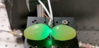 Как ни странно, виноград улучшает работу квантовых датчиков | New-Science.ru Как ни странно, виноград улучшает работу квантовых датчиков | New-Science.ru