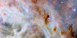 Телескоп Хаббл запечатлел «космическую сахарную вату» возле туманности Тарантул | New-Science.ru Телескоп Хаббл запечатлел «космическую сахарную вату» возле туманности Тарантул | New-Science.ru