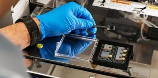 IBM планирует обучать искусственный интеллект быстрее, чем когда-либо, с помощью своих оптических процессоров | New-Science.ru IBM планирует обучать искусственный интеллект быстрее, чем когда-либо, с помощью своих оптических процессоров | New-Science.ru