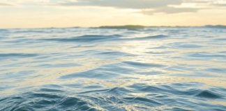 Загадочное снижение испарения океанов: новое исследование ставит под сомнение климатические модели | New-Science.ru Загадочное снижение испарения океанов: новое исследование ставит под сомнение климатические модели | New-Science.ru