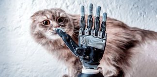 Российский инженер, лишившийся руки, разработал бионический протез Российский инженер, лишившийся руки, разработал бионический протез