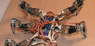 Робот-паук из Томска узнает в лицо хозяев и отдельные предметы Робот-паук из Томска узнает в лицо хозяев и отдельные предметы