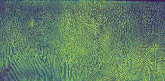 Прорыв в «скручивании» света может произвести революцию в электронике, например, OLED и ночном видении | New-Science.ru Прорыв в «скручивании» света может произвести революцию в электронике, например, OLED и ночном видении | New-Science.ru