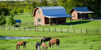 Фермерство в России сегодня: как развивается фермерский бизнес в стране — Бизнес-журнал B-MAG — российский деловой журнал Фермерство в России сегодня: как развивается фермерский бизнес в стране — Бизнес-журнал B-MAG — российский деловой журнал