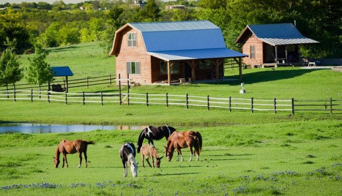 Фермерство в России сегодня: как развивается фермерский бизнес в стране — Бизнес-журнал B-MAG — российский деловой журнал