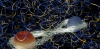 Студенты разработали технологию создания 3D-голограмм с помощью квантовой запутанности | New-Science.ru Студенты разработали технологию создания 3D-голограмм с помощью квантовой запутанности | New-Science.ru