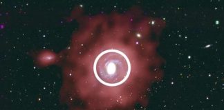 Расположение газа в галактике влияет на процесс звездообразования | New-Science.ru Расположение газа в галактике влияет на процесс звездообразования | New-Science.ru