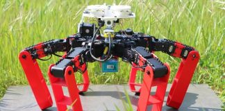 Робот AntBot получил уникальную навигационную систему живых муравьев Робот AntBot получил уникальную навигационную систему живых муравьев