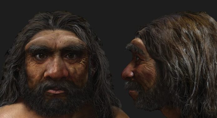 Историческое открытие: череп из Харбина раскрывает тайну внешнего облика денисовцев | New-Science.ru