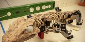 В университете Берлина создали бегающего робота-ископаемое В университете Берлина создали бегающего робота-ископаемое