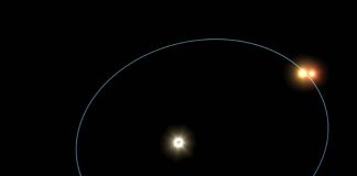 Ученые составили самый полный каталог двойных звезд с экзопланетами | New-Science.ru Ученые составили самый полный каталог двойных звезд с экзопланетами | New-Science.ru