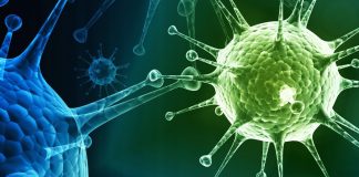 Новое устройство для идентификации вирусов на основе их индивидуальной вибрации. | New-Science.ru Новое устройство для идентификации вирусов на основе их индивидуальной вибрации. | New-Science.ru