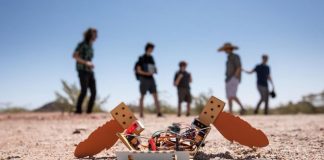 Студенты из Аризоны создали недорогого робота-черепаху Студенты из Аризоны создали недорогого робота-черепаху