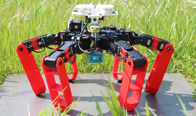 Робот-муравей AntBot Робот-муравей AntBot