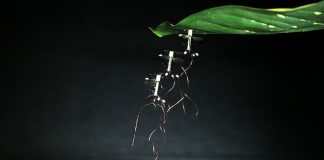 Миниатюрный дрон RoboBee учится летать Миниатюрный дрон RoboBee учится летать