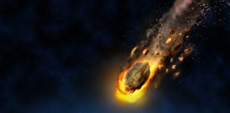 Ученые выяснили, что вероятность погибнуть от астероида выше, чем от бешенства | New-Science.ru Ученые выяснили, что вероятность погибнуть от астероида выше, чем от бешенства | New-Science.ru