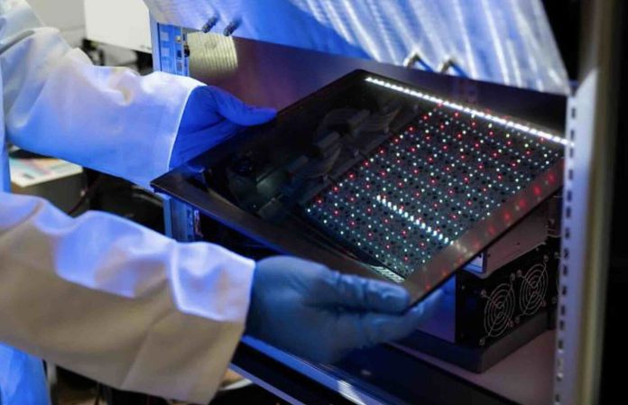 Ученые создали рекордно эффективные солнечные панели для помещений, которые могут заменить батарейки | New-Science.ru