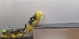 Роботы-тараканы VelociRoACH не оставят товарища в беде Роботы-тараканы VelociRoACH не оставят товарища в беде