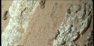 NASA изучает необычный пятнистый камень с Марса, найденный марсоходом Perseverance | New-Science.ru NASA изучает необычный пятнистый камень с Марса, найденный марсоходом Perseverance | New-Science.ru