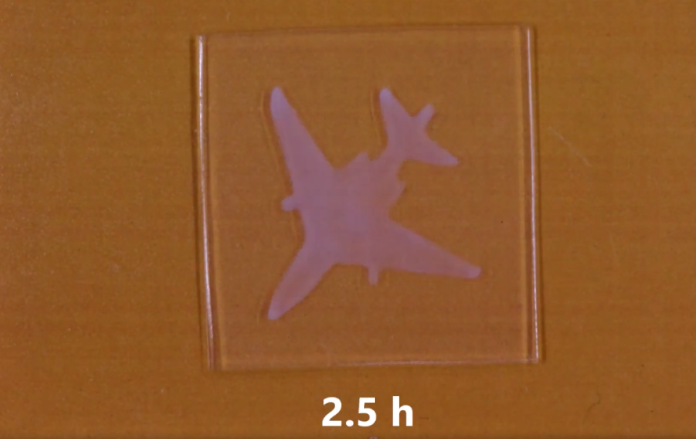 Гидрогель, способный учиться и забывать, как наш мозг! | New-Science.ru