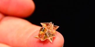 Складывающийся робот-оригами может работать от магнита и растворяться после использования Складывающийся робот-оригами может работать от магнита и растворяться после использования
