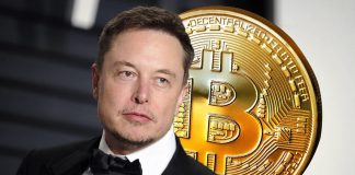 Как заработать $160 млрд: 5 главных инвестиций Илона Маска — Бизнес-журнал B-MAG — российский деловой журнал Как заработать $160 млрд: 5 главных инвестиций Илона Маска — Бизнес-журнал B-MAG — российский деловой журнал