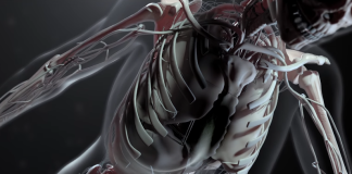 Цифровой двойник, будущее медицинских операций? | New-Science.ru Цифровой двойник, будущее медицинских операций? | New-Science.ru