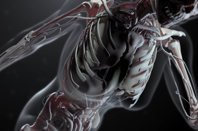 Цифровой двойник, будущее медицинских операций? | New-Science.ru