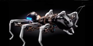 «Напечатанные» бионические муравьи готовы к командной работе «Напечатанные» бионические муравьи готовы к командной работе