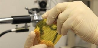 Электронная кожа роботов становится все более чувствительной Электронная кожа роботов становится все более чувствительной