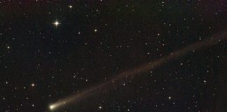 Комета C/2025 K1 (ATLAS) удивила ученых спектром, доминированным молекулами NH2 | New-Science.ru Комета C/2025 K1 (ATLAS) удивила ученых спектром, доминированным молекулами NH2 | New-Science.ru