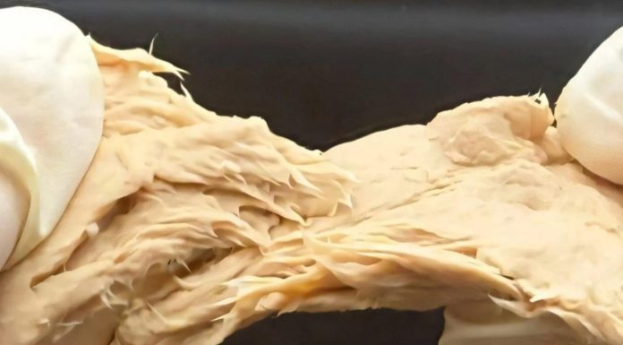 Учёные создали питательный грибной белок, похожий на мясо, с помощью генного редактирования | New-Science.ru