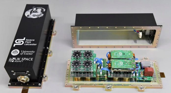 Крошечные черви отправятся на МКС для изучения опасностей глубокого космоса | New-Science.ru