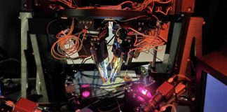 Ученые выяснили, как высшие отделы мозга заставляют нас видеть то, чего нет | New-Science.ru Ученые выяснили, как высшие отделы мозга заставляют нас видеть то, чего нет | New-Science.ru